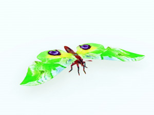 BUTTERFLY 3D MODEL FLYING 3D-Modell