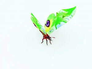 BUTTERFLY 3D MODEL FLYING 3D Model