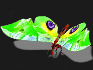 BUTTERFLY 3D MODEL FLYING 3D-Modell