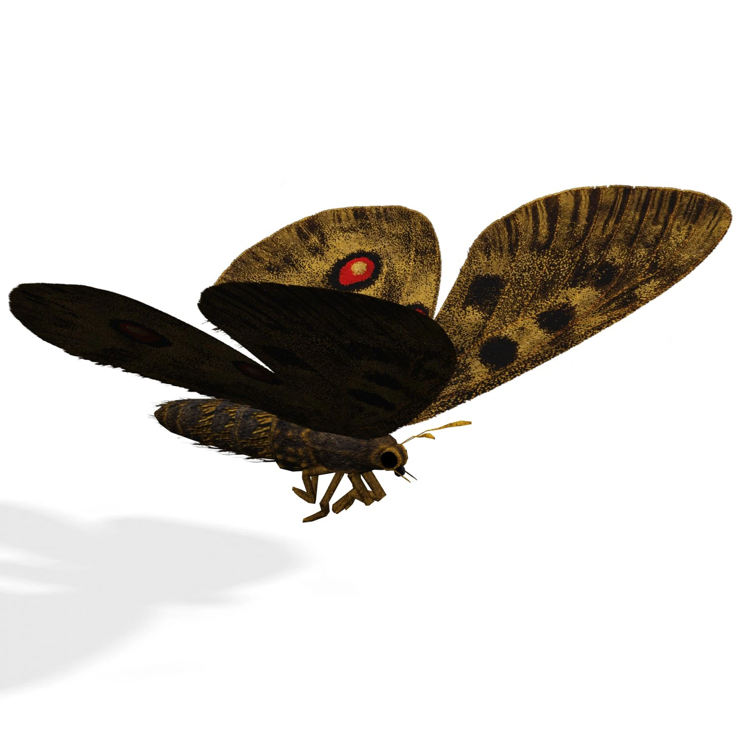 BUTTERFLY 3D game ready 3D Model .c4d .max .obj .3ds .fbx .stl .blend 