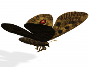 BUTTERFLY 3D game ready 3Dモデル