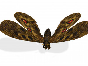 BUTTERFLY 3D game ready 3D Модель