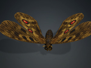 BUTTERFLY 3D game ready 3D Модель