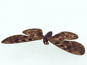 BUTTERFLY 3D game ready 3D Модель