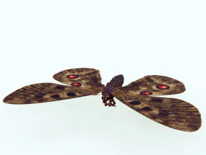 BUTTERFLY 3D game ready 3D Model