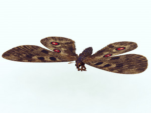 BUTTERFLY 3D game ready 3D Модель