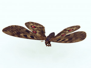 BUTTERFLY 3D game ready 3D Модель