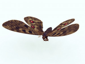 BUTTERFLY 3D game ready 3D Модель