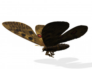 BUTTERFLY 3D game ready 3D Модель