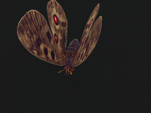 BUTTERFLY 3D game ready 3D Модель
