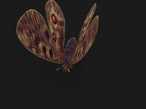 BUTTERFLY 3D game ready 3D Model