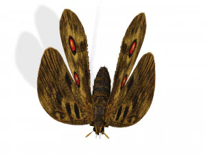 BUTTERFLY 3D game ready 3D Model