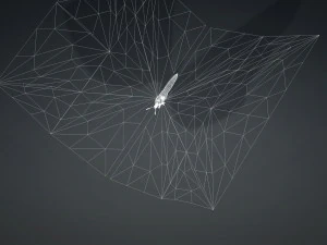 BUTTERFLY 3D game ready 3D Model