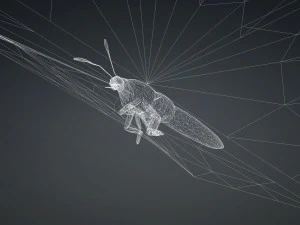 BUTTERFLY 3D game ready 3D Model