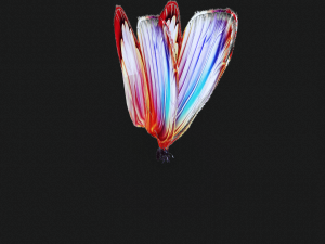 BUTTERFLY 3D cult 3D Модель