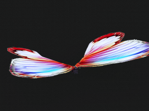 BUTTERFLY 3D cult 3D Модель
