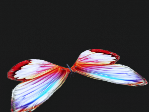 BUTTERFLY 3D cult 3D Модель