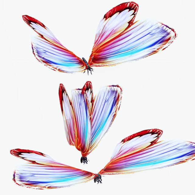 BUTTERFLY 3D cult 3D Модель .c4d .max .obj .3ds .fbx .stl .blend 