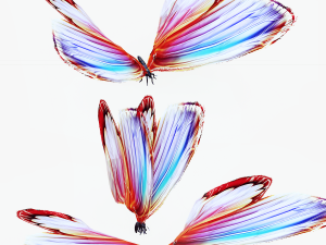 BUTTERFLY 3D cult 3Dモデル