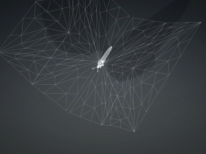BUTTERFLY 3D cult 3D Модель