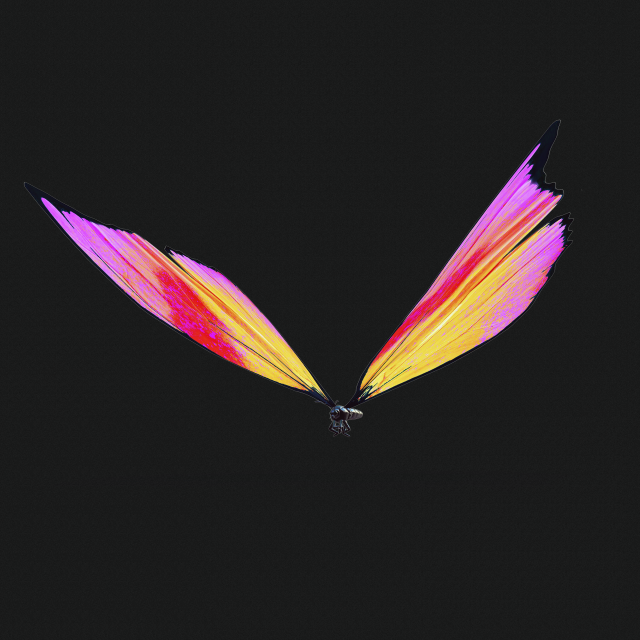 BUTTERFLY 3D cm 3D 模型 .c4d .max .obj .3ds .fbx .stl .blend 