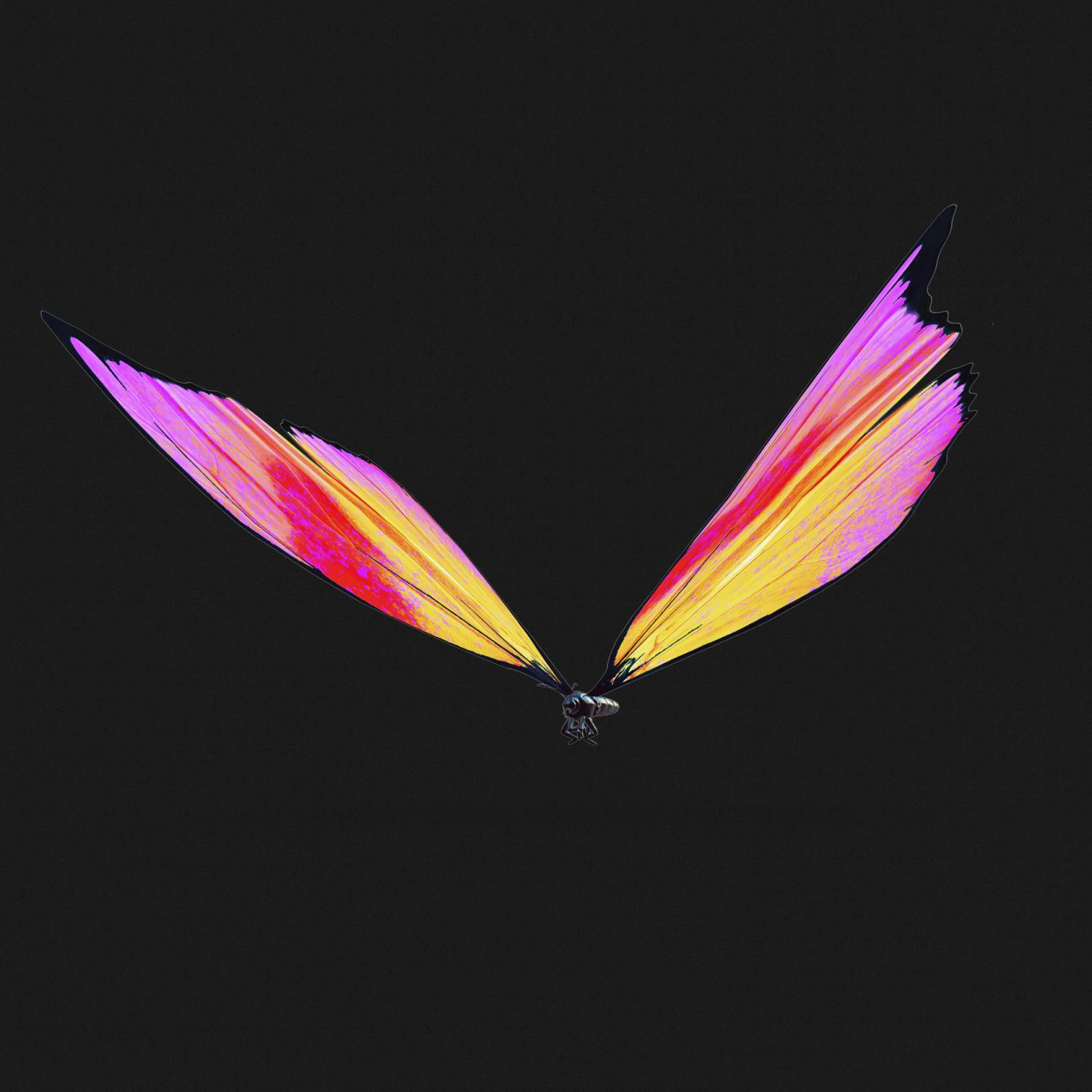 BUTTERFLY 3D cm 3D Model .c4d .max .obj .3ds .fbx .stl .blend 