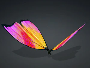 BUTTERFLY 3D cm 3D Model