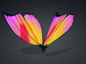 BUTTERFLY 3D cm 3D Model