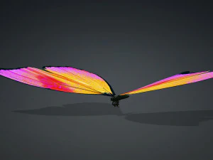 BUTTERFLY 3D cm 3D Model