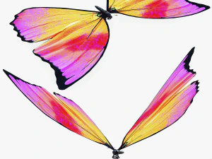 BUTTERFLY 3D cm 3D Model