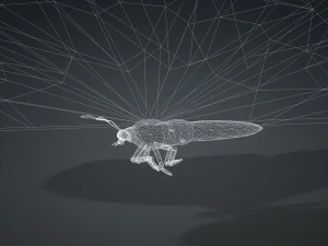 BUTTERFLY 3D cm 3D Model