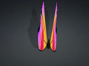 BUTTERFLY 3D cm 3D Model