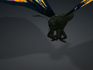 BUTTERFLY 3D cm 3D 模型