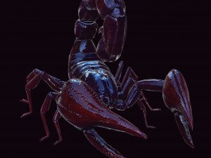 Scorpion Black Emperor SCORPION ARACHNID MONSTER ARACHNID 3D Model