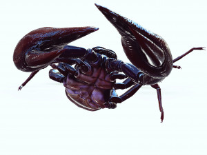 Scorpion Black Emperor SCORPION ARACHNID MONSTER ARACHNID 3D Model