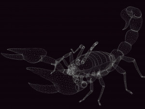 Scorpion Black Emperor SCORPION ARACHNID MONSTER ARACHNID 3D Model