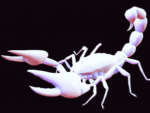 Scorpion Black Emperor SCORPION ARACHNID MONSTER ARACHNID 3D Model