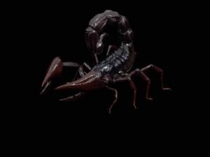 Scorpion Black Emperor SCORPION ARACHNID MONSTER ARACHNID 3D Model