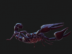 Scorpion Black Emperor SCORPION ARACHNID MONSTER ARACHNID 3D Model