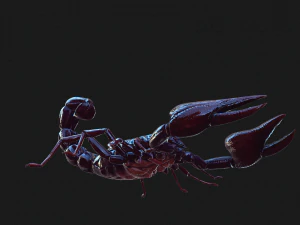 Scorpion Black Emperor SCORPION ARACHNID MONSTER ARACHNID 3D Model