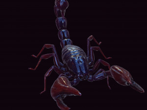 Scorpion Black Emperor SCORPION ARACHNID MONSTER ARACHNID 3D Model