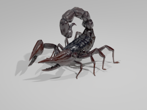 Scorpion Black Emperor SCORPION ARACHNID MONSTER ARACHNID 3D Model