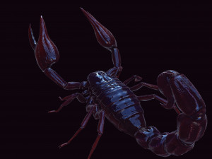 Scorpion Black Emperor SCORPION ARACHNID MONSTER ARACHNID 3D Model