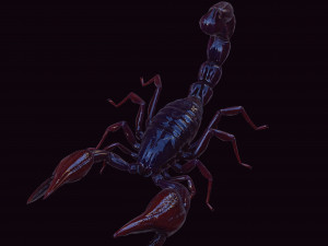 Scorpion Black Emperor SCORPION ARACHNID MONSTER ARACHNID 3D Model