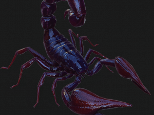 Scorpion Black Emperor SCORPION ARACHNID MONSTER ARACHNID 3D Model