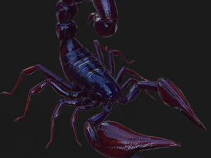 Scorpion Black Emperor SCORPION ARACHNID MONSTER ARACHNID 3D Model