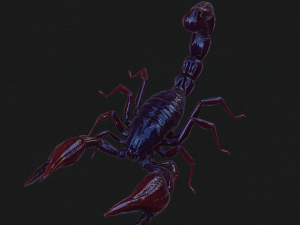 Scorpion Black Emperor SCORPION ARACHNID MONSTER ARACHNID 3D Model