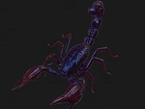 Scorpion Black Emperor SCORPION ARACHNID MONSTER ARACHNID 3D Model