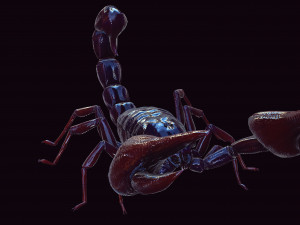 Scorpion Black Emperor SCORPION ARACHNID MONSTER ARACHNID 3D Model