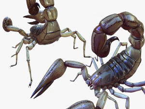 Kalajengking Air Model 3D